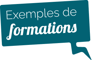 FORMATION_bulle_bleu Formation entreprise Lyon et France
